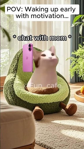 cat meme|Waking up early with motivation then going back to sleep #relatable #relationship #catmeme