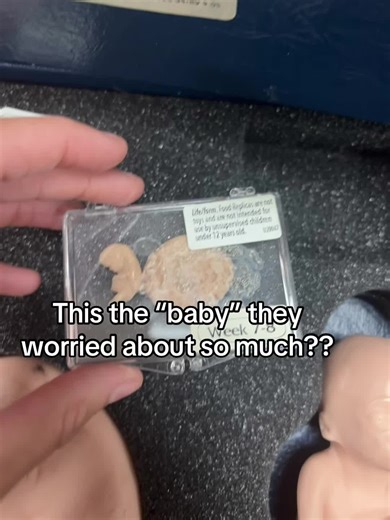 Understanding Abortion Rights and Pro-Choice Perspectives