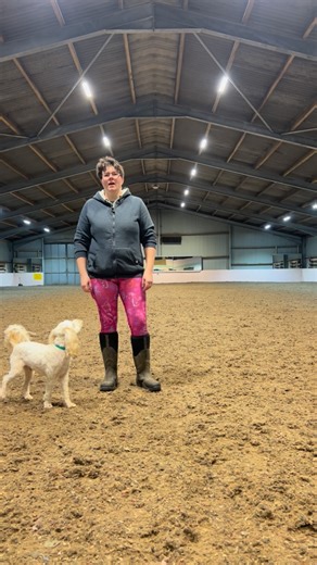 Here’s one of my favourite foundation games to use when working on heelwork and loose lead walking. The primary purpose is to create focus and drive in the dog so they both want to work with us and adding in the picture gradually of walking next to us. | Rat Pack Dog Services