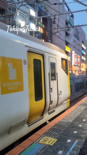 Honk!「回送」BOSO EXPRESS SERIES E257, NB-05 leaving Tsudanuma #japan #train #鉄道 #電車 #railway