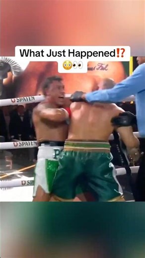 Wanderlei Silva Just Got KNOCKED OUT In Post-Fight Brawl😳👀 #ufc