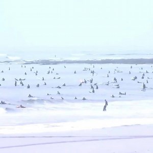 KooKs virus 🤘😛 on Pacific Beach, San Diego . . YEW | Surfers Hype