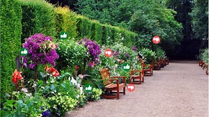 13 Pro Tips for a Low Maintenance Landscape ( Mistakes to Avoid)