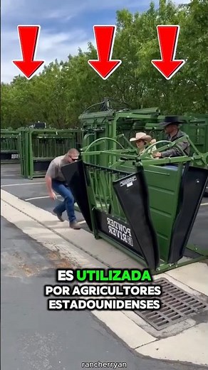 ¿La transformación de un toro en vaca en América?