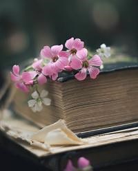 simple present and past