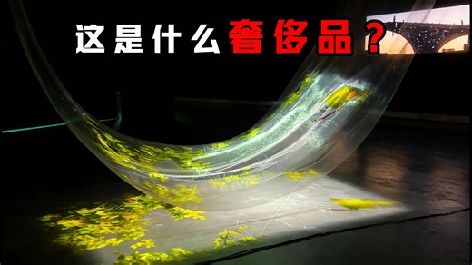 谁说我国没有奢侈品？个顶个的顶级