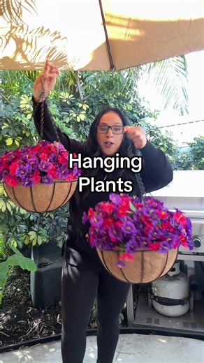 Easy Hanging Plants for Gardening Beginners