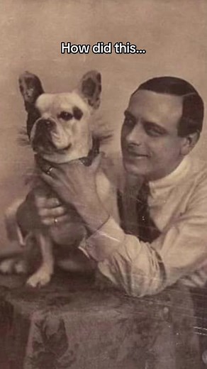 History and Health Issues of French Bulldogs