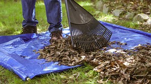 How to Rake Leaves and Get Rid of Them in Record Time - Today's Homeowner