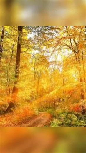 3 comments | “Fall Back” playlist available on Spotify and Apple...