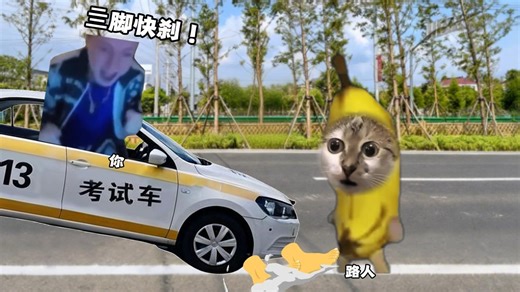 当科目三有百吨王护卫