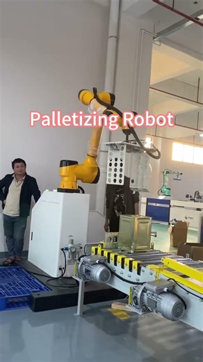 Palletizing Robot | Automated Stacking & Packaging Solution