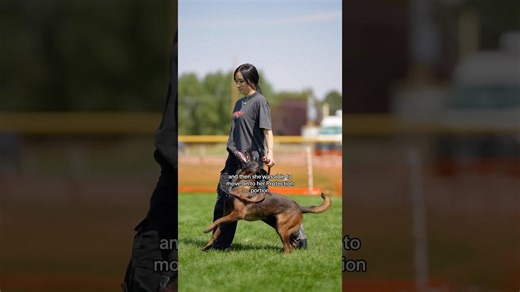 Travel to Wyoming to trial a dog in a bitework competition