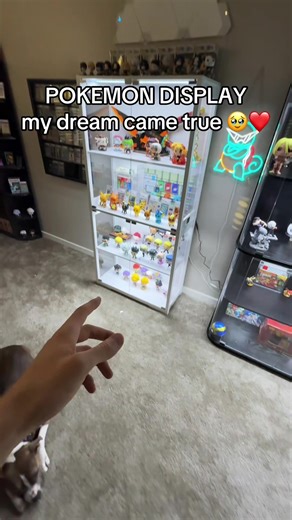 My Dream Pokemon Card Display Setup