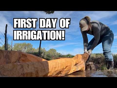 We have WATER! ~ Will it revive our horse pasture?