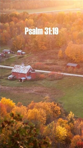 Psalm 31:19 #jesus #bibleverse #christianfaith #lavish #blessings #world #good #great #god
