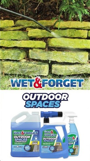 Flagstone looking a little green? Wet & Forget Outdoor Spaces makes it easy to clean!
