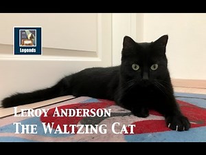 "Krümel" the Cat & Leroy Anderson "The Waltzing Cat" (1955) HD