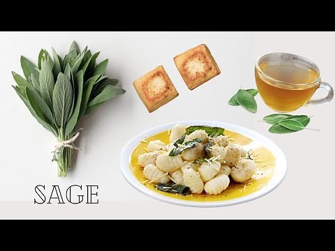 Leftover SAGE After Thanksgiving? Here's How to Use it Up! Vegan Recipes & Ideas for Sage!