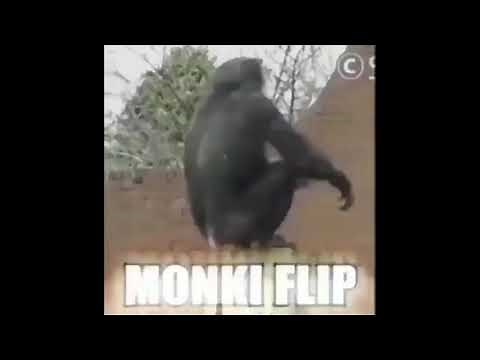 MONKEY BACKFLIP!!!!!