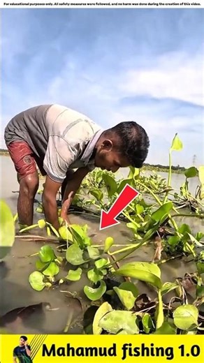What fish did he find in the water hyacinth?🐟#viralvideo #facts #fishinggear #fishinglife #fish