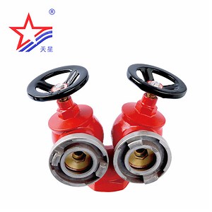 [Hot Item] Landing Pillar Fire Hydrant System Firefighting Equipment Accessory