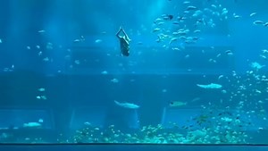 Underwater ballet
