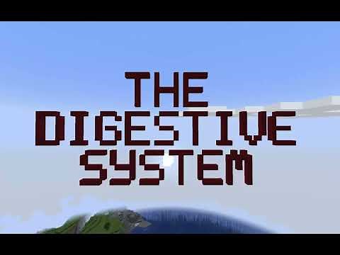 The digestive system explained in minecraft