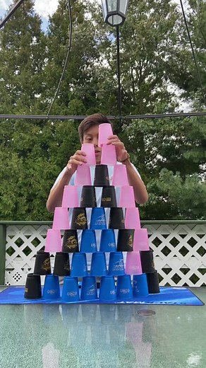 Crow Stacking Cups in Record Time