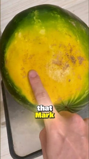 The Yellow Spot That Reveals a Sweet Watermelon 🍉