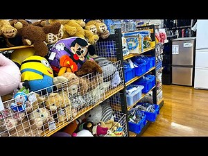 Visit recycle shops and treasure hunt! Looking for toys [off house]