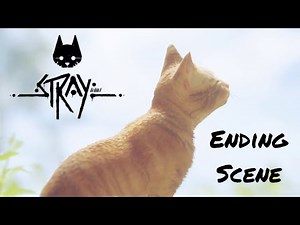 Stray - Ending Scene + Credits (PS5)