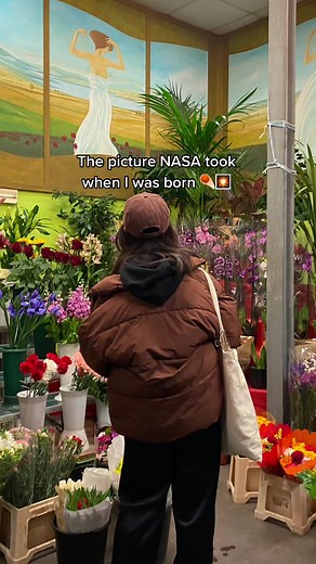 Exploring the Omega Nebula's Cosmic Beauty