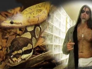 My Snake is Down With the Sickness : SnakeBytesTV