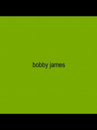 N.E.R.D. - Bobby James: A Musical Journey