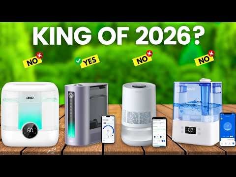 6 Best Humidifier 2026