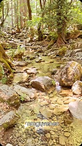 213 reactions · 46 shares | Adagio in G Minor - André Rieu ♥️ | Romantic Love Songs | Facebook