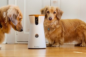 Furbo lets you toss your dog treats from afar
