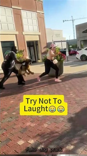 Fake dog prank #fyp #happy #funnymoments #funny #funnyvideo
