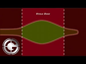 Bullet Comparison - Terminal Ballistics
