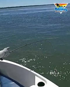 ÚLTIMAS VAGAS DE DEZEMBRO/21 FRONTEIRAS ARGENTINAS  REABERTAS PARA...