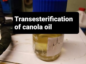 I'm FAMEous! - Making fatty acid methyl esters