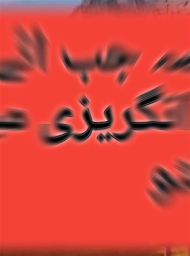 Learn English Daily: Simple Tips for Beginners