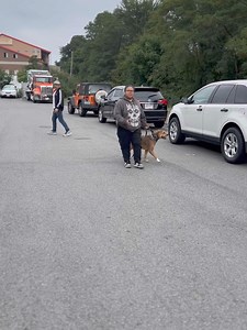 My new favorite reactivity protocol… We’ve been using this protocol for all of our seminars where we’ve encountered seriously reactive dogs. And while this isn’t a perfect demo—the owner is still trying to juggle all the details and nuances—it’s a good raw example of the basics. It’s really simple. Pattern your dog/human reactive dog to simply respond to the “Switch” tcommand (low e-collar pressure, and leash guidance) until the dog is fully on the other side of the trigger. You want a relaxed, 