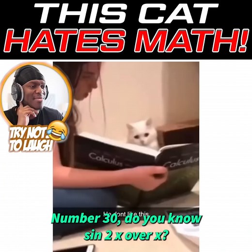 I feel the same 😂 | K.S.I