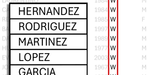 Racial profiling or data flaw? Louisiana law leaves officers guessing on race