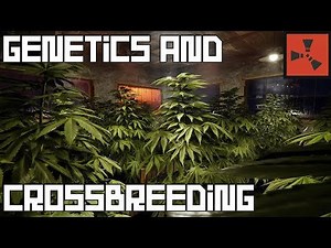 Comprehensive Genetics and Crossbreeding Guide