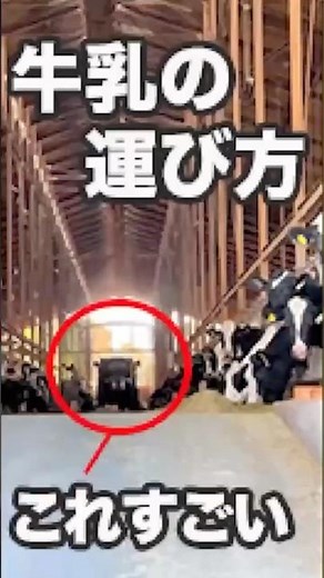 生乳輸送の仕事とは？酪農家から工場へ届ける現場｜ミルクローリー車｜駿遠運送