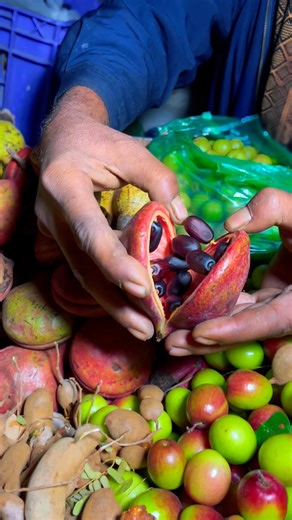 Breaking Open a Java Olive | Rare Wild Fruit #javaolive #exoticfruit #organicfood #fruits