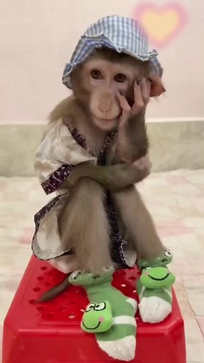 𝓔𝓛𝓔𝓝𝓐 (@diarchy76)’s videos with